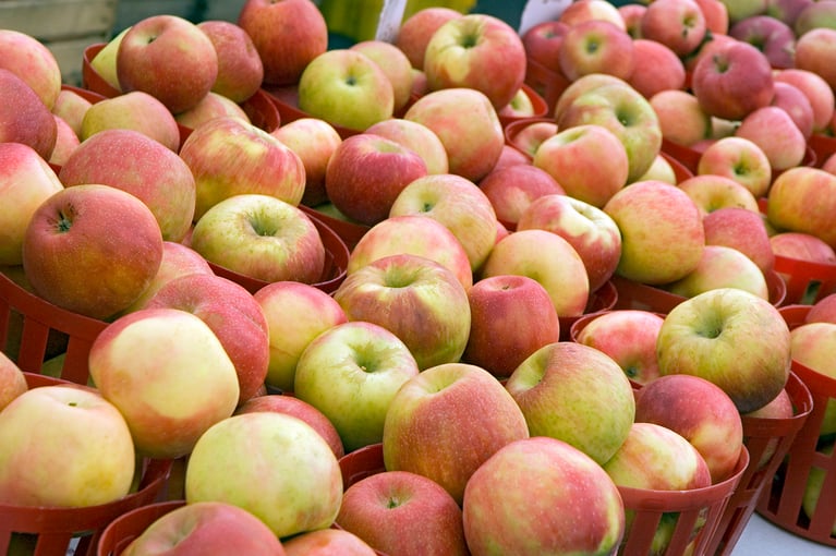 November Nourishment: Our Top 5 Seasonal Food Picks