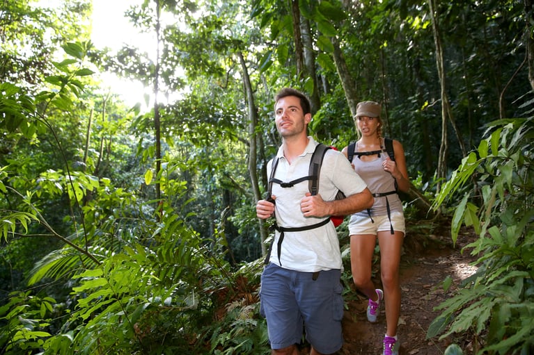 The Healing Power of Nature: Exploring the Link Between Enjoyment of Nature and Reduced Inflammation