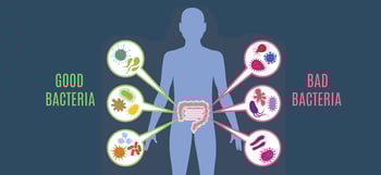 Good Health Starts with a Healthy Gut