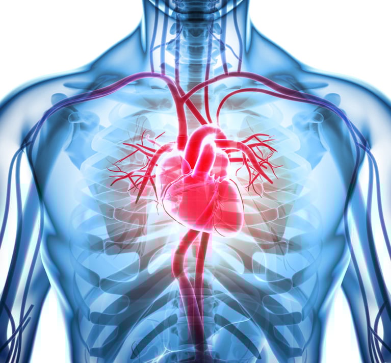 Do you know your cardiovascular risk?