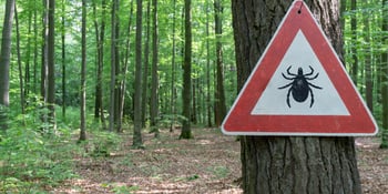 Prevent and Protect Yourself Against Lyme Disease!