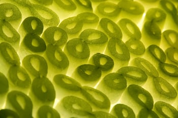 5 symptoms of mold and what to do about it