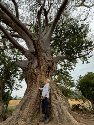 ZambiaIMG_0693