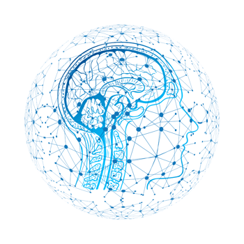 Keeping Brain Health Top of Mind