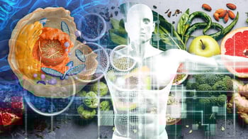 Optimum Health Starts at the Cellular Level