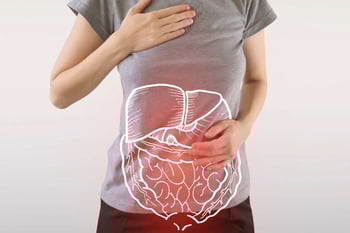 The Estrobolome: How Your Gut Shapes Estrogen Levels and Hormone Balance