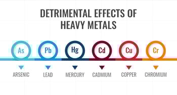 I Took a Heavy Metals Test. Here's What Happened.