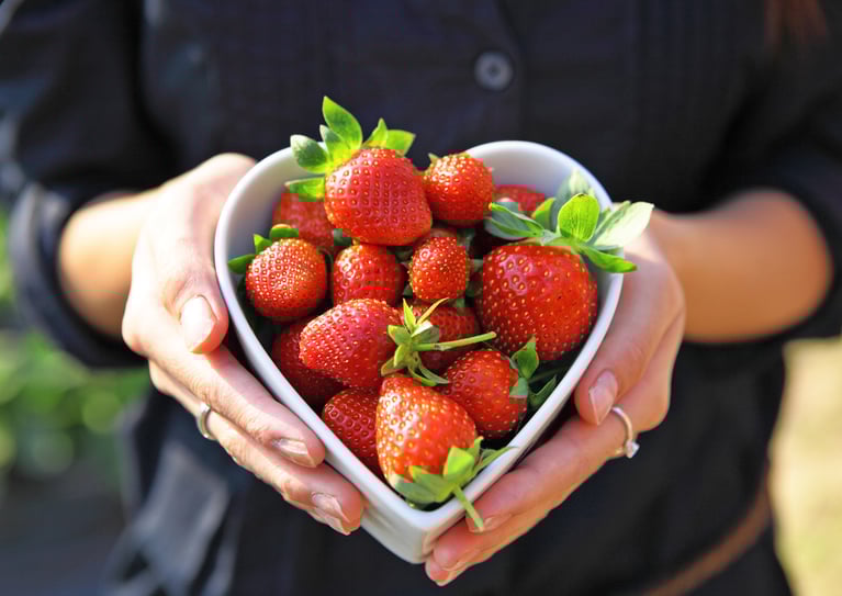 Nutrition on a Budget: Underrated Foods for Maximum Health Gains