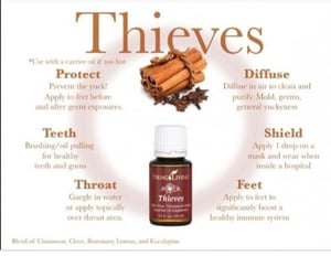 thieves-1
